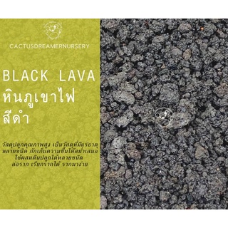 ลด50%ใส่โค้ดINCS83L - หินภูเขาไฟสีดำ black lava