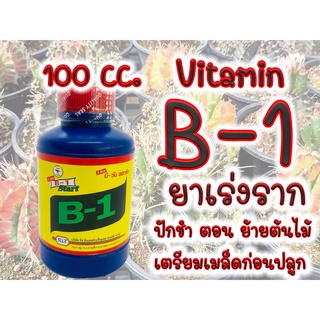 (100 cc.) B1 น้ำยาเร่งราก B-1 บี วัน  ขนาด 100 cc. เร่งราก เเคคตัส กระบองเพชร ไม้ฟอกอากาศ บอนสี ไม้ด่าง ต้นไม้ทุกชนิด b1