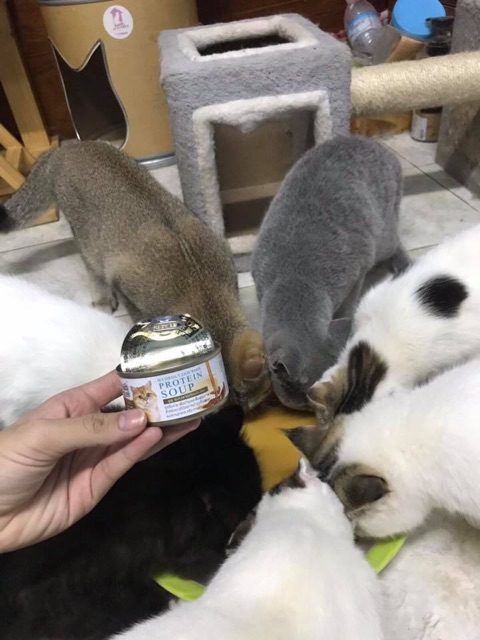 [ส่งฟรี+แถม2กป] ChooChoo ชูชู อาหารเสริมบำรุงแมว ซุปปลาสกัดเข้มข้น สำหรับแมว 24 กระป๋อง (ยกลัง 80กรัม/กปx24กระป๋อง) - รูปที่ 4