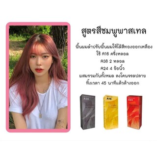 Berina สีย้อมผมเบอรีน่า ครีมเปลี่ยนสีผม โทนชมพูพาสเทล แพค 4 กล่อง A16/A38/A24/A38