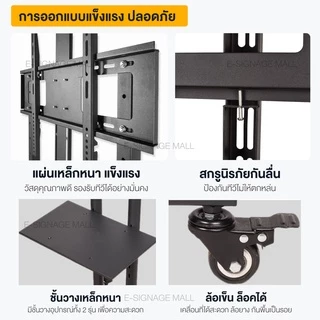 ขาตั้งทีวี สูง180cm ขาแขวนทีวี ตั้งพื้น ขนาด 32-75 นิ้ว ปรับ ก้ม เงยได้ มีล้อ เคลื่อนย้ายได้ แข็งแรง เหล็กหนา