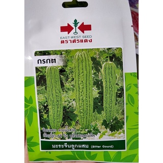 มล็ดพันธุ์ มะระจีน 🥒หมดอายุ 30/11/2566🥒 มะระจีนลูกผสม (กรกต) 💥บรรจุประมาณ 5 เมล็ด ติดผลดก ลายน้ำสวย