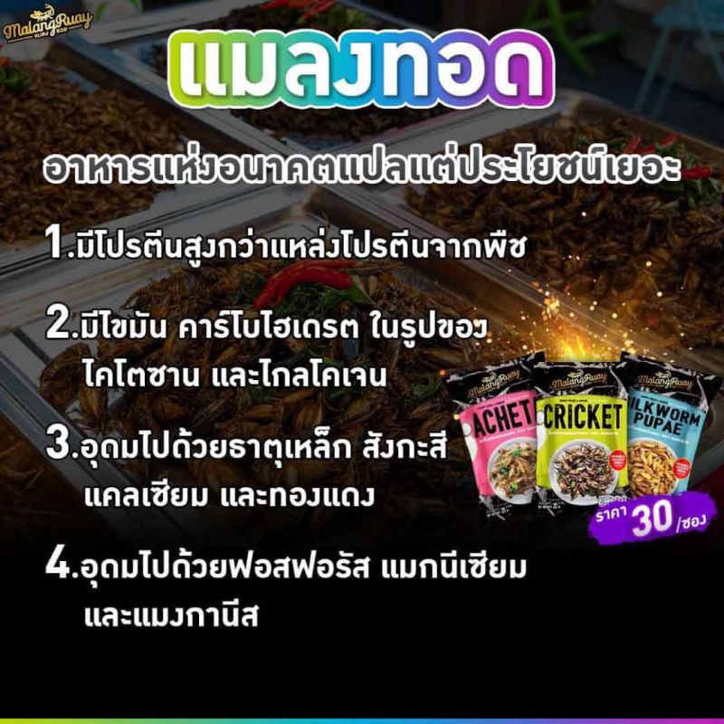 แมลงรวยย ดักแด้ทอด อบ กรอบ