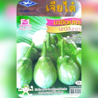 มะเขือเปราะมณีจันทรา Maneechantra eggplant เจียใต๋