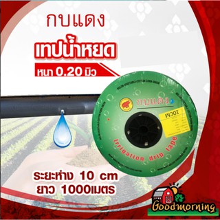 เทปน้ำหยด กบแดง ระยะห่าง 10 ซม หนา 02 มิล 1000 เมตรเต็ม สายส่งน้ำ น้ำหยด เทปกลม ระบบน้ำ จัดส่งเคอร์รี่ฟรี