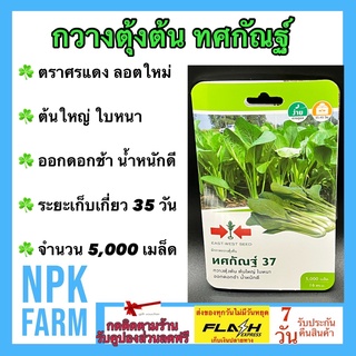 ผักซองศรแดง ผักกาด กวางตุ้งต้น ทศกัณฐ์ 37 จำนวน 5000 เมล็ด/ซอง เมล็ดพันธุ์ ลอตใหม่ ต้นใหญ่ ใบหนา ออกดอกช้า น้ำหนักดี