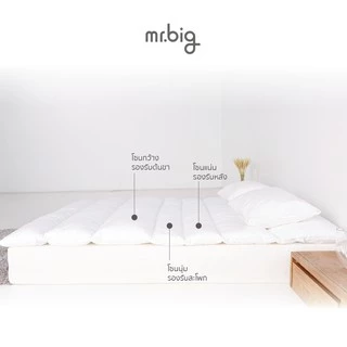 mr.big 7-Zone Comforter Topper เปลี่ยนที่นอนธรรมดาให้เป็นที่นอนที่เข้ากับสรีระ