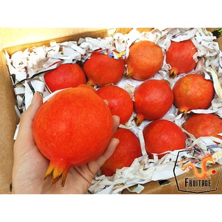 ทับทิมอินเดีย (1ลูก) INDIA ~ลดพิเศษ~ ทับทิมสด ผลไม้ทับทิม Pr…