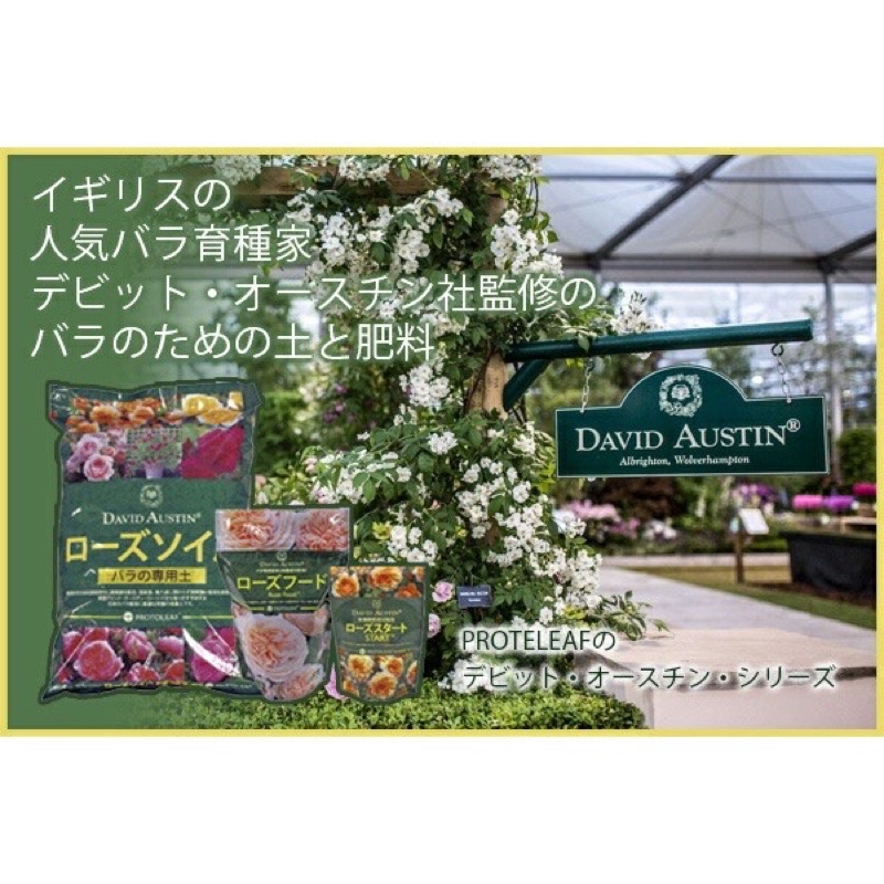 ❗️พร้อมส่ง❗️David Austin® Rose Start ปุ๋ยกุหลาบออแกนิค 100% ผสมชีวภัณฑ์จากธรรมชาติ ขนาด 150 กรัม ราคา ถูกที่สุด ดีลบีเคเค แกลเลอรีภาพที่ 6