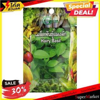 เมล็ดพันธุ์แมงลัก กรีน การ์เด้น เมล็ดพันธุ์ HAIRY BASIL SEED GREEN GARDEN ต้นไม้และเมล็ดพันธุ์