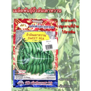 เมล็ดพันธุ์ถั่วลันเตาหวาน ตราภูเขาทอง