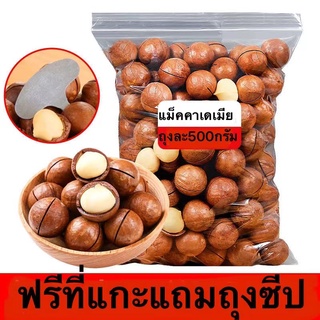 แมคคาเดเมียอบ 500กรัม (Macadamia)  พร้อมทาน *ฟรีที่แกะ*แมคคาเดเมียอบ แมคคาเดเมียอบธรรมชาติ ถั่วแมคคาเดเมีย ถั่ว