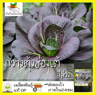 เมล็ดพันธุ์ กวางตุ้งฮ่องเต้ สีม่วง 100 เมล็ด Pakchoi Ruby F1 Seed เมล็ดพันธุ์แท้ 100% นำเข้าจากต่างประเทศ กวางตุ้ง ถูกดี ปลูกง่าย ขายดี โตไว