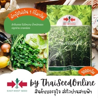 EWCOM Exp. 7/70 เมล็ดพันธุ์ ผักบุ้งจีนใบไผ่ ไผ่เงิน 1 กิโลกรัม ตราศรแดง Chinese Convolvulus