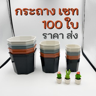 กระถางกระบองเพชร แคคตัส แปดเหลี่ยม 2, 3, 4นิ้ว เซท 100 ใบ ราคาส่ง