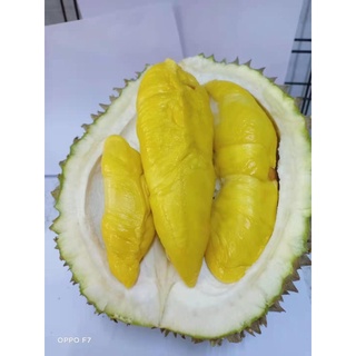 De-husk 400g/1Kg fresh durian delivery (QI FRUIT )