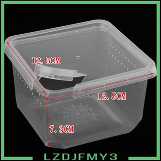 กล่องใส่สัตว์เลื้อยคลานแมงมุมขนาด 12 . 5x12 . 5x7 . 3 ซม .