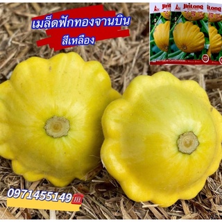 ฟักทองจานบินเหลืองฟักทองจานบิน รูปร่างน่ารัก กินได้ ปลูกง่าย