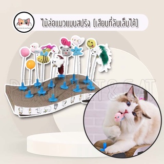 PEKO PET&amp;CAT ไม้แมวเสียบที่ลับเล็บ ติดที่ลับเล็บ ไม้ล่อแมว ของเล่นแมว มีหลายแบบให้เลือก ของเล่นสัตว์เลี้ยง