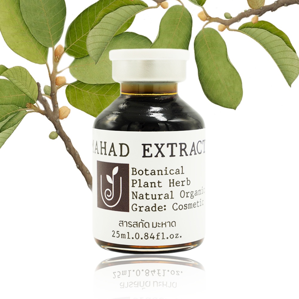 สารสกัดมะหาด สารสกัดธรรมชาติออร์แกนิค บำรุงผิว Mahad Extract 25-100กรัม – โปรปัง