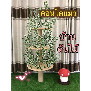 คอนโดแมว เสาลับเล็บแมว บ้านต้นไม้ Cat tree บ้านแมว เสาแมวปีน ที่ข่วนเล็บแมว คอนโดแมวเสาเดี่ยว