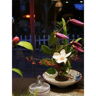 ส่งด่วนได้ Kenzan หนามเตย จัดดอกไม้ เข็มยึดสำหรับจัดดอกไม้ แบบญี่ปุ่น Ikebana แปรงทำความสะอาด เข็มจัดหนายเตย