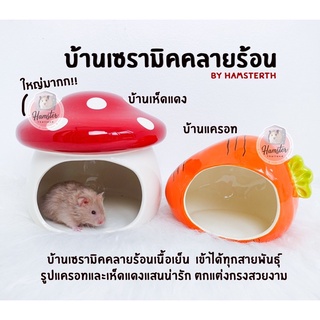 [Hamsterth] บ้าน เซรามิค คลายร้อน บ้านเซรามิค บ้านแครอท บ้านเห็ด บ้านสตอเบอรี่ จัมโบ้!! บ้านแฮมเตอร์