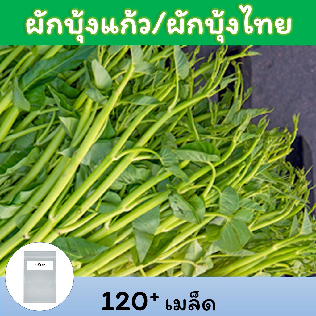 My Image 101