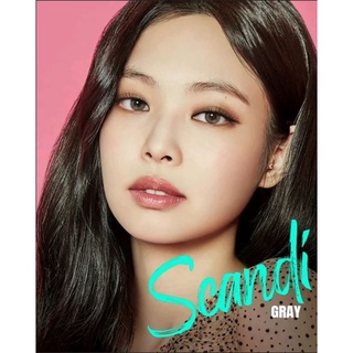 Scandi Gray สีเทา By Gaezz Secret  คอนแทคเลนส์ (Contact lens) มีค่าสายตา -0.00 ถึง -10.00