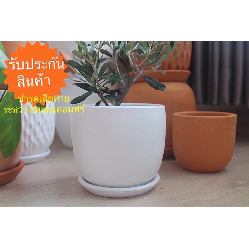 กระถางดินเผา กระถางต้นไม้ 6 นิ้ว พร้อมจานรอง คุณภาพ ราคาถูก