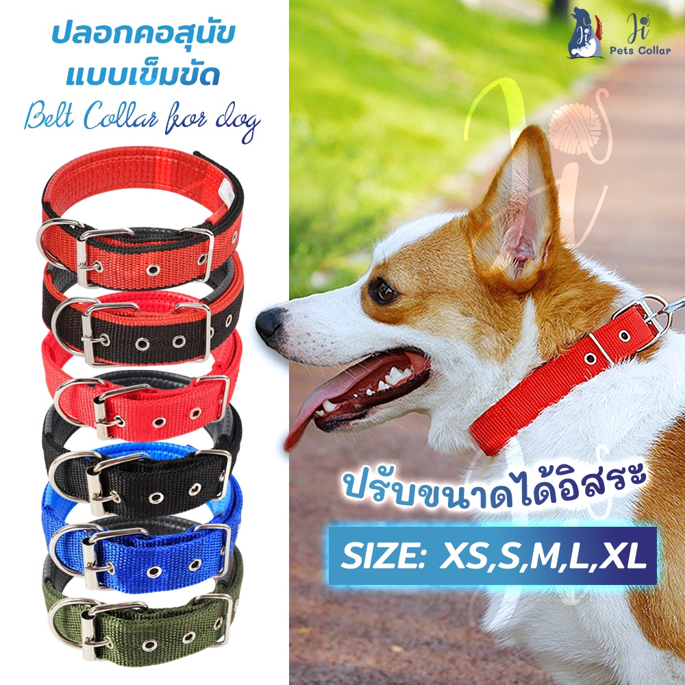 ปลอกคอสุนัข หมา ปลอกคอแมว ปลอกคอไนล่อน พันธุ์ใหญ่ พันธุ์เล็ก Collar For All Size Breed