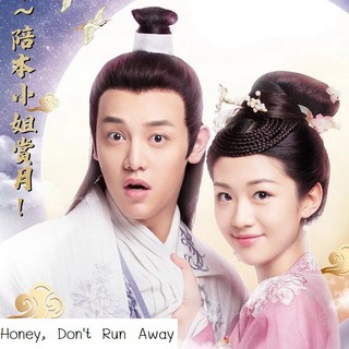 DVD ซีรี่ย์จีน Honey Dont Run Away คุณชายฟ้าประทาน (เสียงจีน/ซับไทย) DVD 2 แผ่น