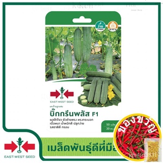 East-West Seed เมล็ดพันธุ์แตงร้าน (Cucumber seeds) บิ๊กกรีนพลัส F1 เมล็ดพันธุ์ผัก เมล็ดพันธุ์ ผักสวนครัว  ตราศรแดงseeds/