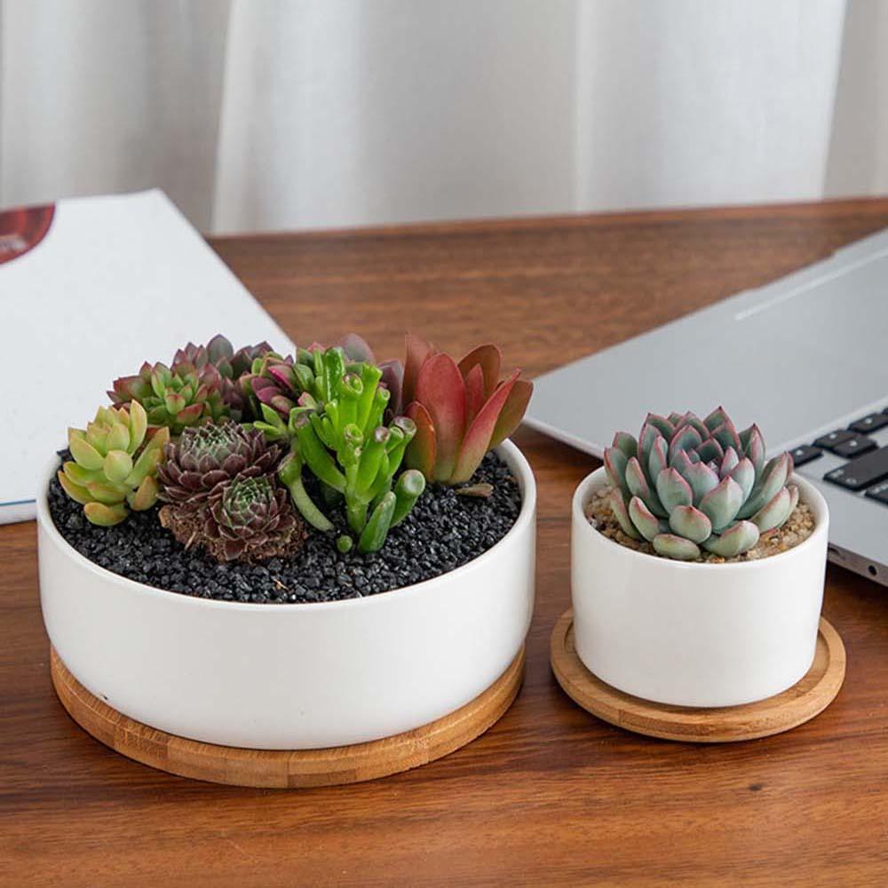 YOLA ถาดไม้ไม้ไผ่อุปกรณ์ทําสวน Planters หม้อ Stander ตกแต่งบ้านหกเหลี่ยมสี่เหลี่ยมผืนผ้า - รูปที่ 4