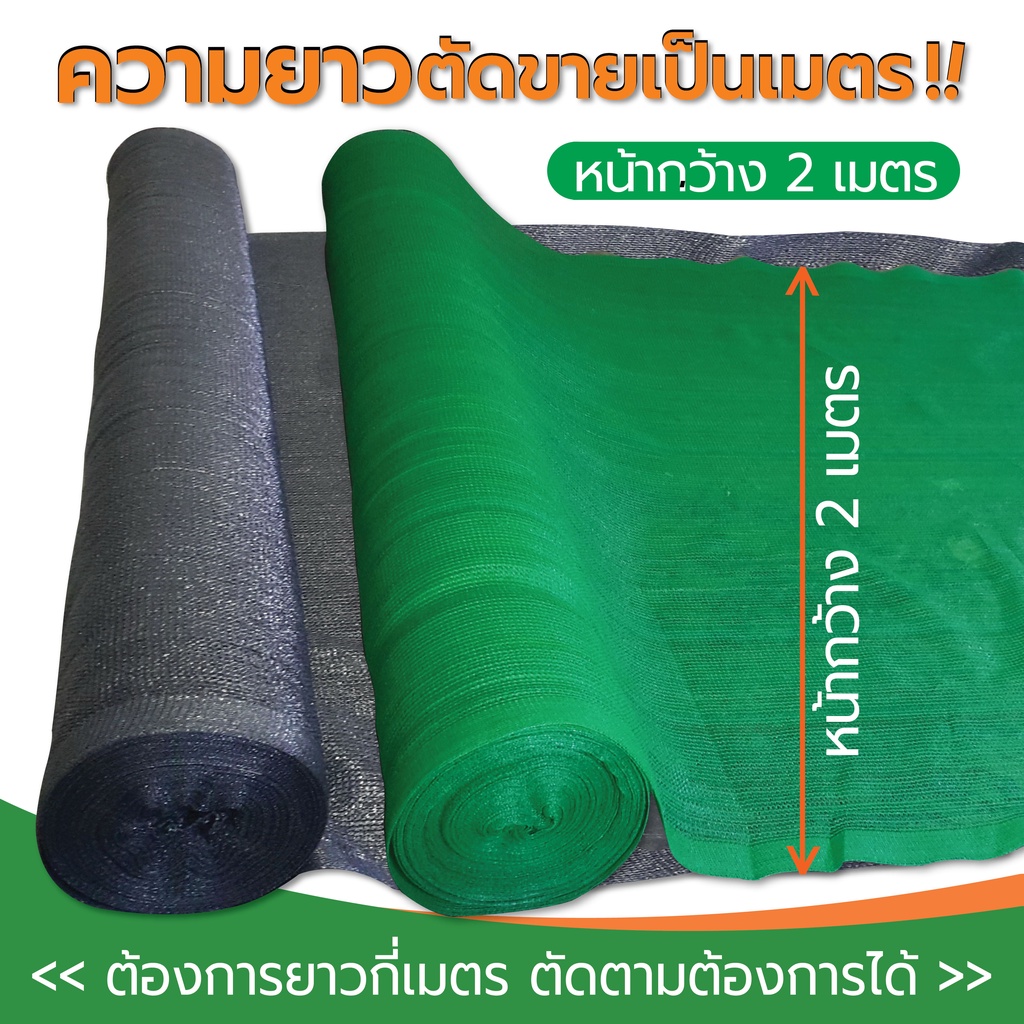 รูปภาพ 2