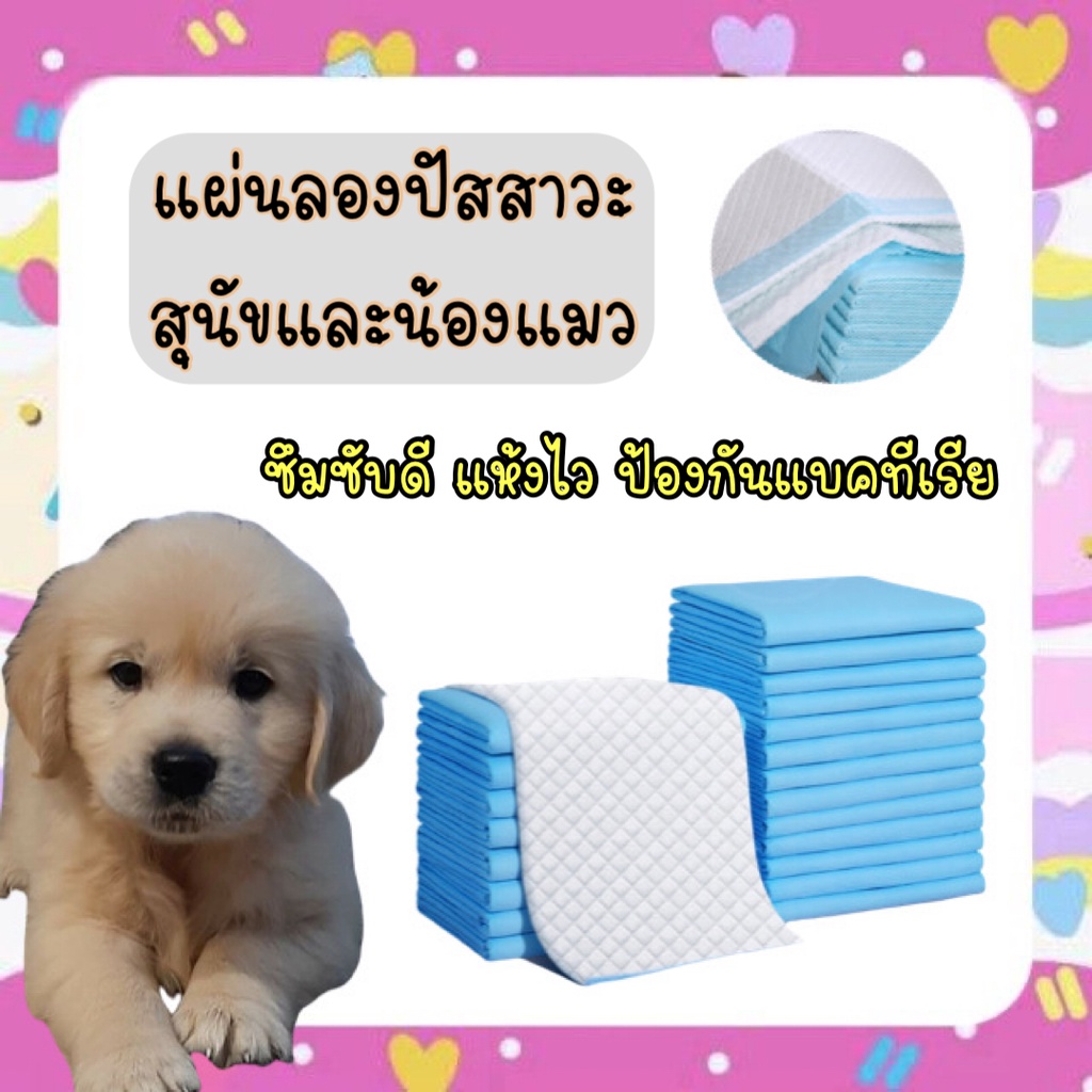 PP-270 แผ่นรองปัสสาวะสุนัขและน้องแมว แผ่นรองฉี่ แผ่นรองฉี่สัตว์เลี้ยงราคาถูก ของใช้หมา ของใช้แมว ราคาถูก ของพร้อมส่ง