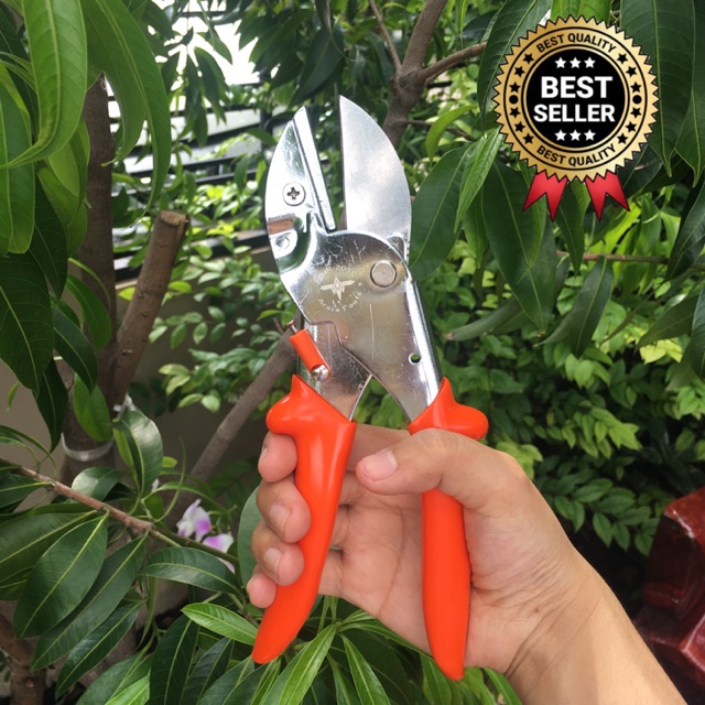 Gardening Tools 360 บาท กรรไกรตัดกิ่งไม้ กรรไกรตัดแต่งกิ่ง กรรไกรตกแต่งสวน กรรไกรตัดช่อดอกไม้ กรรไกรตัดผลไม้ Home & Living