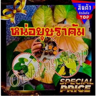 💥สินค้ามาแรงติดอันดับ1💥เสน่ห์จันทร์บุษราคัม (5 หน่อ/แพ็ค) แม่พันธุ์ด่าง ด่างชัว100% รับประกัน ขายแบบหน่อติดตาโตติดราก