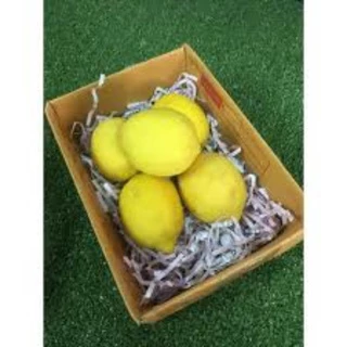 มะนาวเหลืองสดผิวสวยเหลืองเข้ม เลม่อน(Lemon)