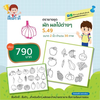 ตรายาง ภาพผัก-ผลไม้ ขนาด 2 นิ้ว S.49 จำนวน 30 ภาพ