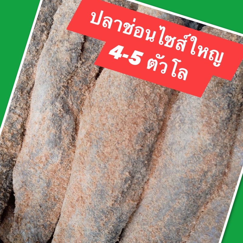 ปลาร้าช่อนไซส์ใหญ่สิงห์บุรี 1 กก. 4-5 ตัว ใช้ทอด หลน สับ ได้ การันตีความหอมข้าวคั่ว ไม่เค็มมาก ใหม่ มีหน้าร้าน พร้อมส่ง