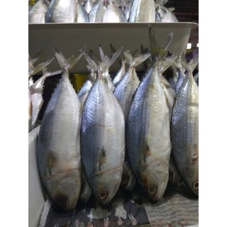 ปลาทูมัน(เค็มน้อย)size🐟5ตัวโล#หอมมันอร่อย #ของแท้ #อร่อยจริง #คอนเฟิร์ม #ลองเลย#ปลอดสาร