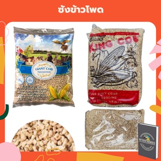 ซังข้าวโพด GIANT COB และ KING COB วัสดุรองรังนก วัสดุรองรังสัตว์เลี้ยง วัสดุรองพื้นนก วัสดุรองพื้นสัตว์เลี้ยง รองกรงนก