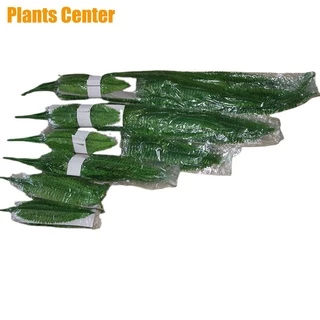 Plants Center P006 ต้นไม้ปลอม พุ่มไม้ปลอม เฟิร์นปลอม ตกแต่งบ้าน แต่งสวน ส่งที่ไทยค่ะ