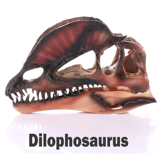 JAPAN โมเดล หัวกะโหลก Dilophosaurus ไดโลโฟซอรัส ไดโนเสาร์ Dinosaur วัสดุ เรซิ่น Resin กะโหลกผี Skull ปาร์ตี้ฮาโลวีน