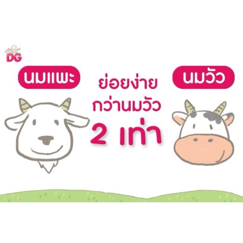 [ขายดี] DG-3 ดีจี3 นมแพะสำหรับเด็ก 800 กรัม ราคา ถูกที่สุด ดีลบีเคเค แกลเลอรีภาพที่ 6