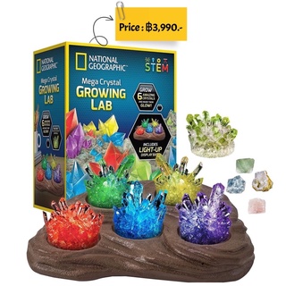 National Geographic Mega Crystal Growing Lab