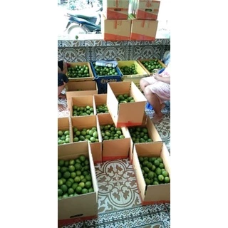 มะนาวไร้เมล็ด( พันธุ์ตาฮิติ ) 🍋เปลือกบาง น้ำเยอะ เก็บสดใหม่ทุกออเดอร์❌ อ่านรายละเอียดก่อนสั่งซื้อนะคะ