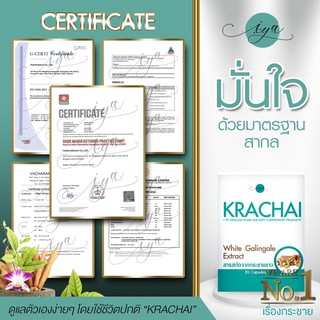 KRACHAI White Galingale Extract  3 กล่อง ( 1 กล่อง 30 แคปซูล)