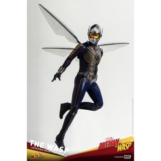 🕊️พร้อมส่ง ฟิกเกอร์ โมเดล ของสะสม Hot Toys MMS498 ANT-MAN AND THE WASP - THE WASP